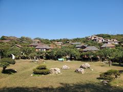 -杨梅坑