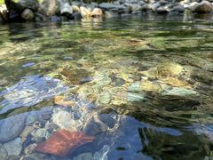-南海湾森林生态园