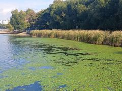 -长春市南湖公园