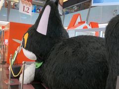 -福田卓悦INTOWN购物中心