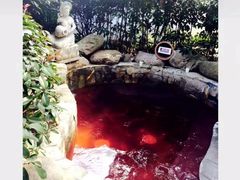 -天目湖涵田半山温泉
