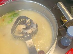 -打酱友•斑鱼海鲜粥火锅(吴桥店)