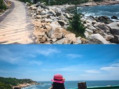 -广东惠东海龟国家级自然保护区