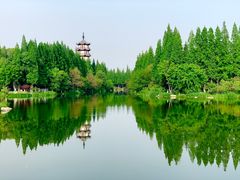 -桃花岛公园