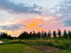 -春花秋色城市公园