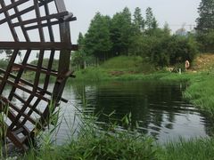 -洋湖国家湿地公园