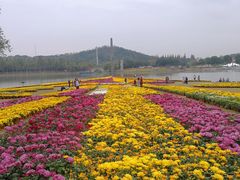 -上海月湖雕塑公园