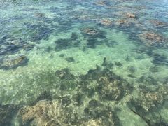 -三亚西岛海洋文化旅游区