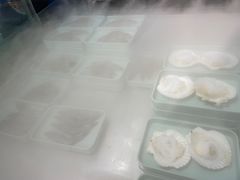 -蚝英雄鲜蚝自助专门店(长楹天街直营店)