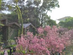 -狐尾山公园