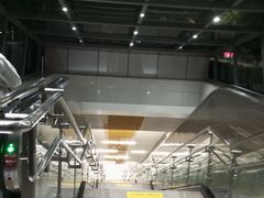 -大龙山(地铁站)