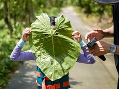 -海南热带雨林国家公园吊罗山景区