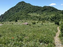 -白草畔自然风景区