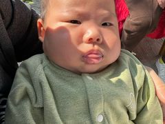 -石塘人家