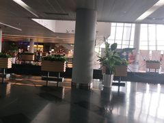 -野马渡文体中心游泳·健身