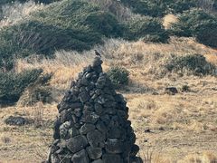 -涉地可支