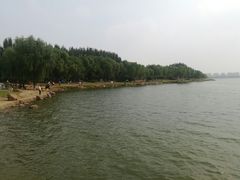 -丁香湖公园