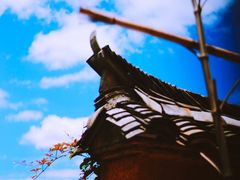 -杨家堂村
