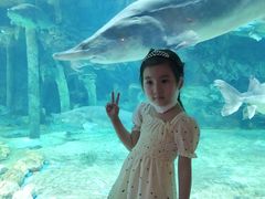 -华夏文旅海洋公园