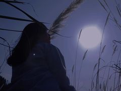 -白鹭湾湿地公园