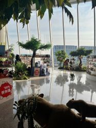 -IMON·HANSA潮玩玩偶毛绒玩具(通州万象汇店)