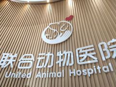 -联合动物医院(光谷诊疗中心)