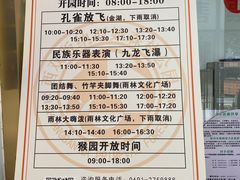 -西双版纳原始森林公园