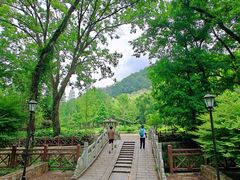 -素山寺森林公园