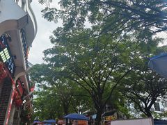 -后海村
