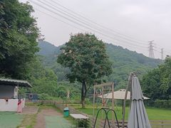 -趣多多宠物公园·宠物训犬学校·宠物寄养