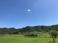 -关山草原