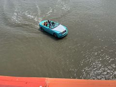 -荷兰花海