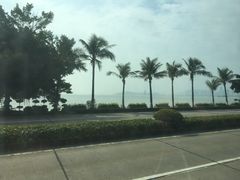 -野狸岛