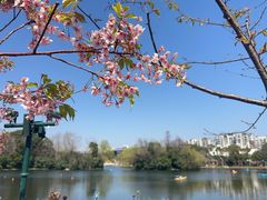 -新江湾城公园