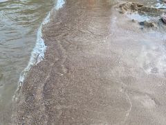 -碧海金沙
