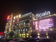 -斯卡拉演艺集团