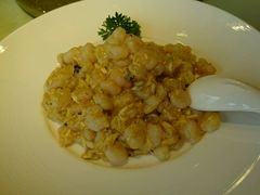 清炒野生河虾仁-圆苑(上海广场店)