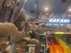 -卡通尼·Safari非洲探索乐园·生日会(金桥国际商业广场店)