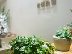 -左悦·艾灸调理·推拿按摩·精油SPA(卓悦汇店)