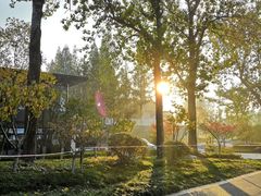 -南京市无想山景区