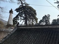-潭柘寺景区