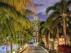 -三亚亚龙湾雅高铂尔曼别墅度假酒店