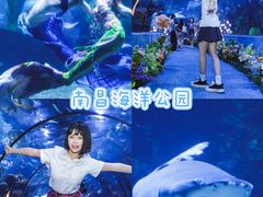 -南昌海洋公园