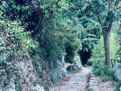 -丹山赤水风景名胜区