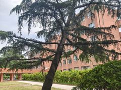 -上海交通大学(闵行校区)