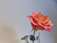 -臻鲜燕海鲜融合餐厅(金陵style店)