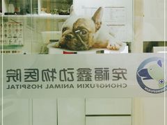 -宠福鑫动物医院(立水桥分院)