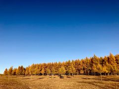 -塞罕坝国家级自然保护区