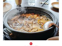 -滇野云南野生菌餐厅(陕西南路店)