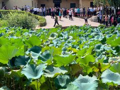 -韶山毛泽东同志故居